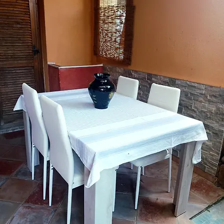 Salina Bamba